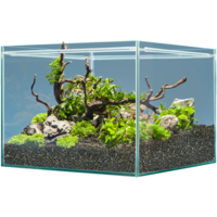 Hardscape Shrimp stenen, wortels en bodemgrond voor garnalenaquarium 48|64|80 liter