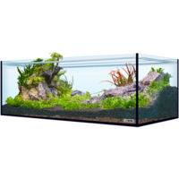 Hardscape Shrimp XXL