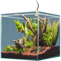 Hardscape South America
