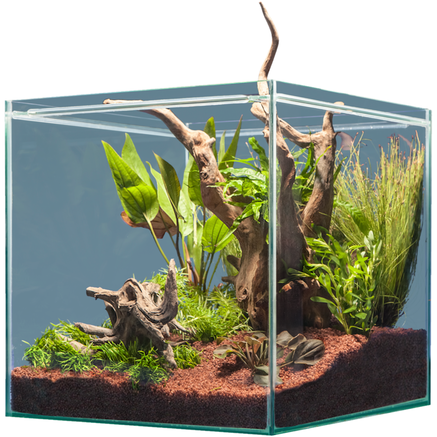 Hardscape South America