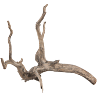 Scaper Root