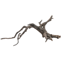Scaper Root
