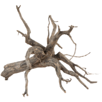 Scaper Root