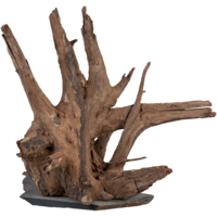 Scaper Wood