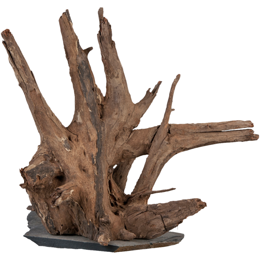Scaper Wood