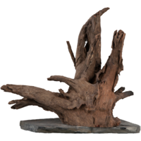 Scaper Wood