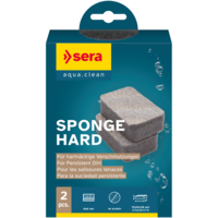 Sponge Hard