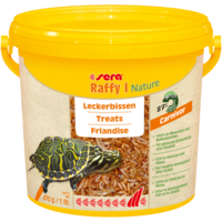 Turtle Gammarus Snack