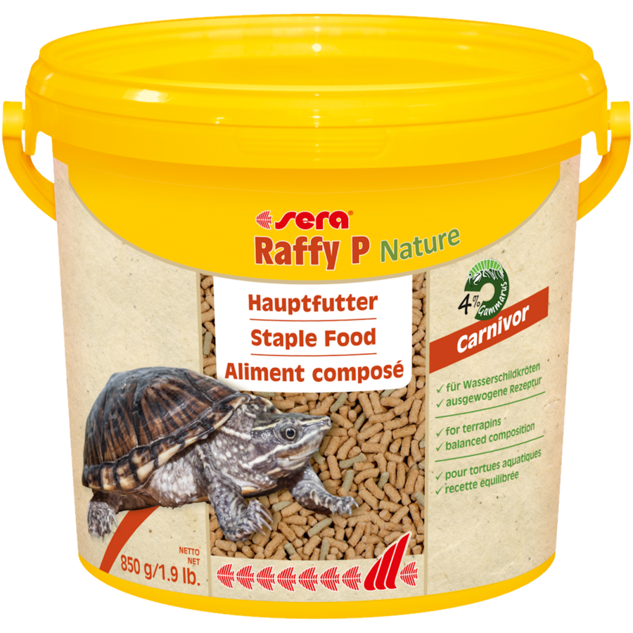 Turtle Adult Raffy P Pellets