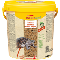 Turtle Adult Raffy P Pellets