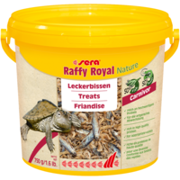 Turtle Royal Snack