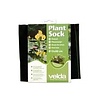 Plant Socket 15x80CM