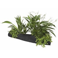 Plant Socket 15x80CM