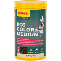 Koi Color Medium