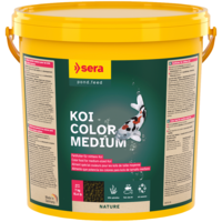 Koi Color Medium