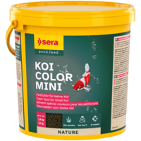 Koi Color Mini