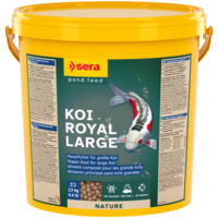 Koi Royal Large