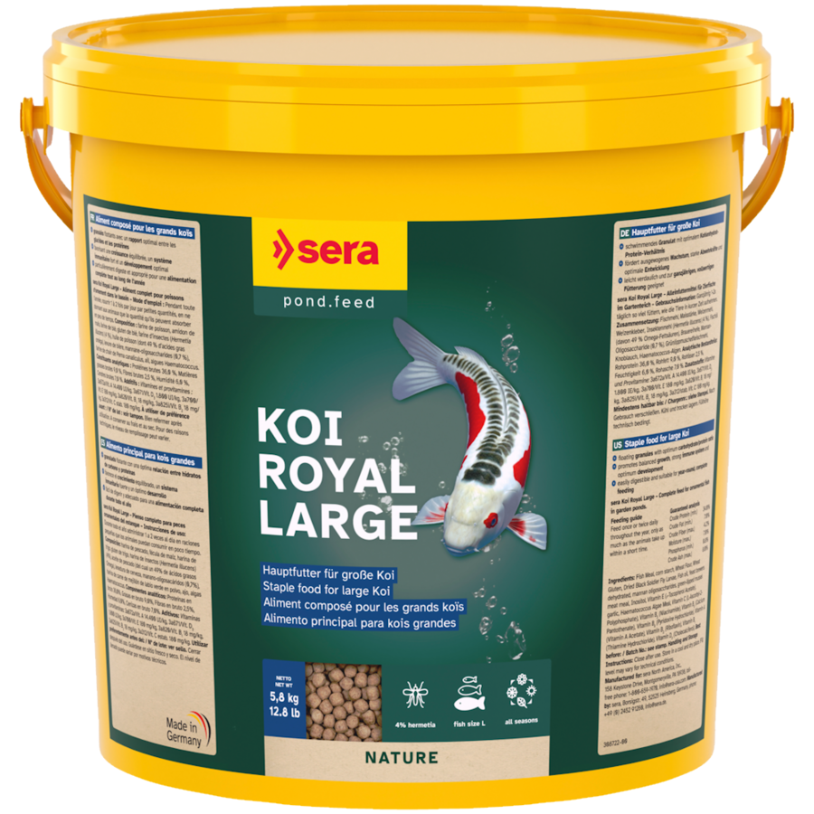 Koi Royal Large