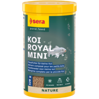 Koi Royal Mini
