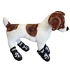 Honden verkenningsschoenen