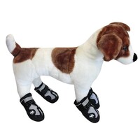 Honden verkenningsschoenen
