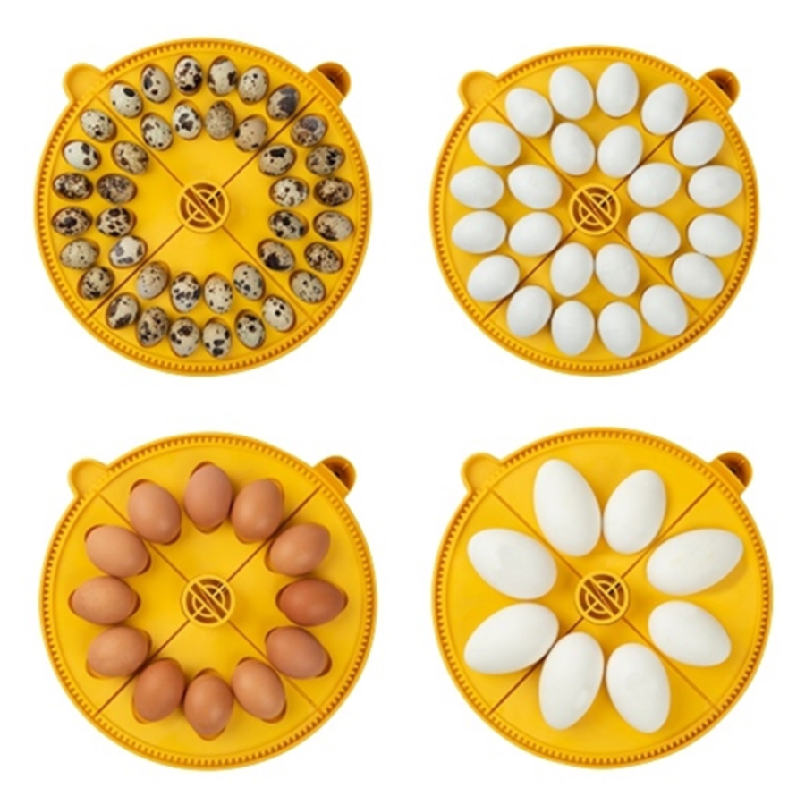 Broedmachine Maxi 24 ADVANCE EX CONNECT | 24 eieren | app | automatische vochtregeling