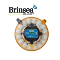 Broedmachine Maxi 24 ADVANCE EX CONNECT | 24 eieren | app | automatische vochtregeling