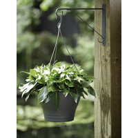 Wandhaak Elegant 30CM