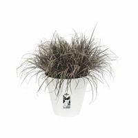 Loft Urban Rond 30CM