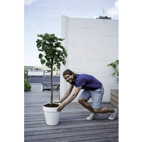 Loft Urban Rond Wielen 40CM