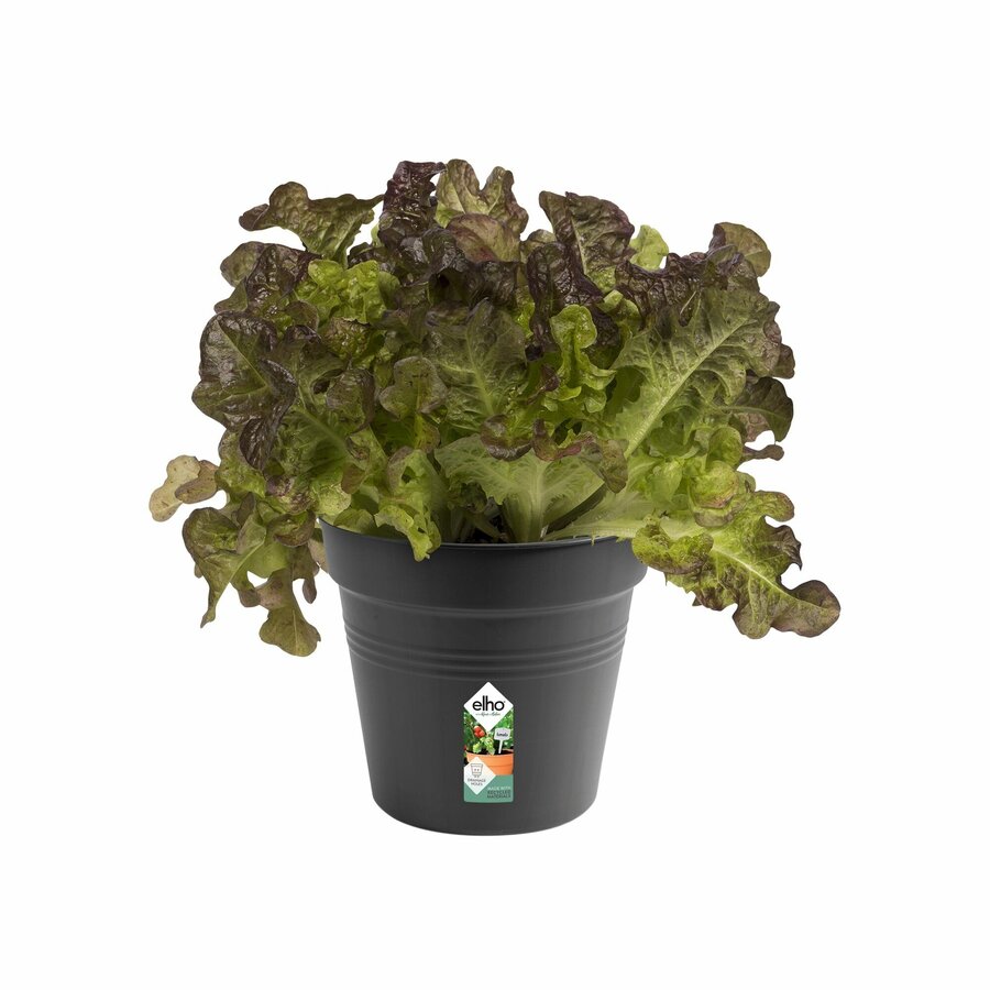 Green Basics Kweekpot