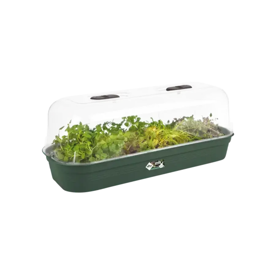 Green Basics Kweektray