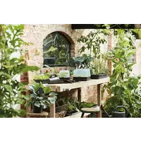 Green Basics Kweekhuis