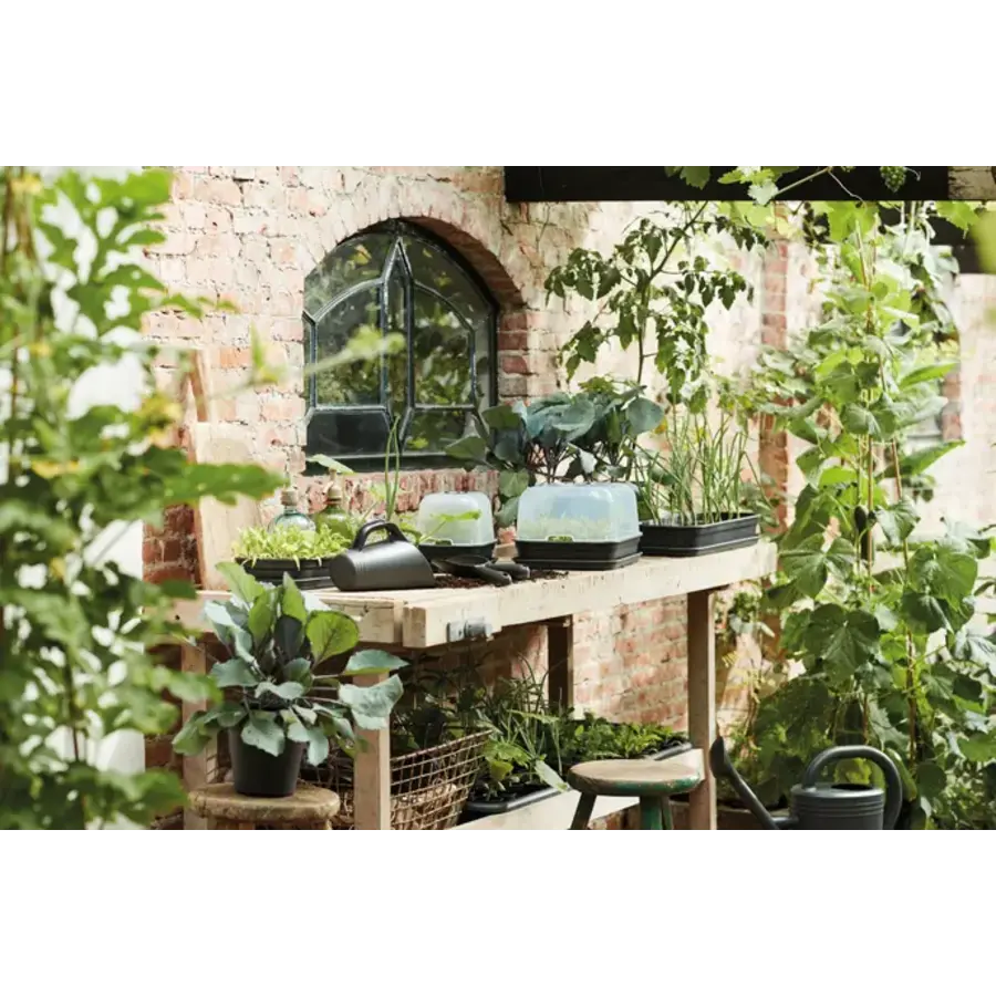 Green Basics Kweekhuis