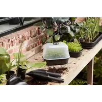Green Basics Kweekhuis