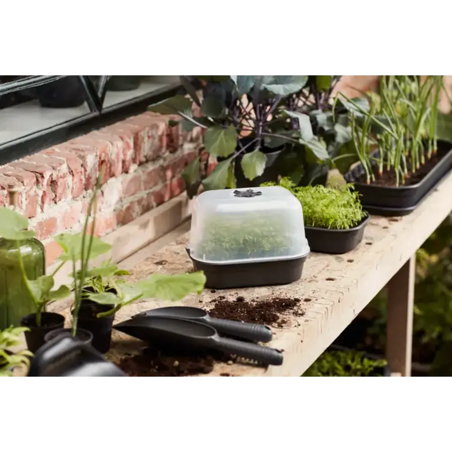 Green Basics Kweekhuis
