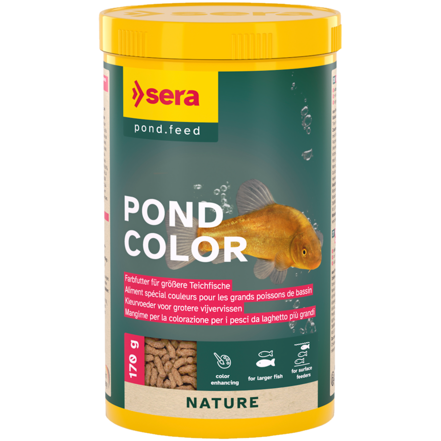 Pond Color