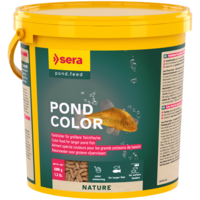 Pond Color
