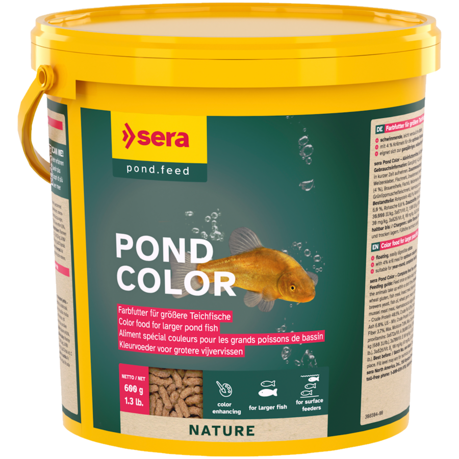Pond Color