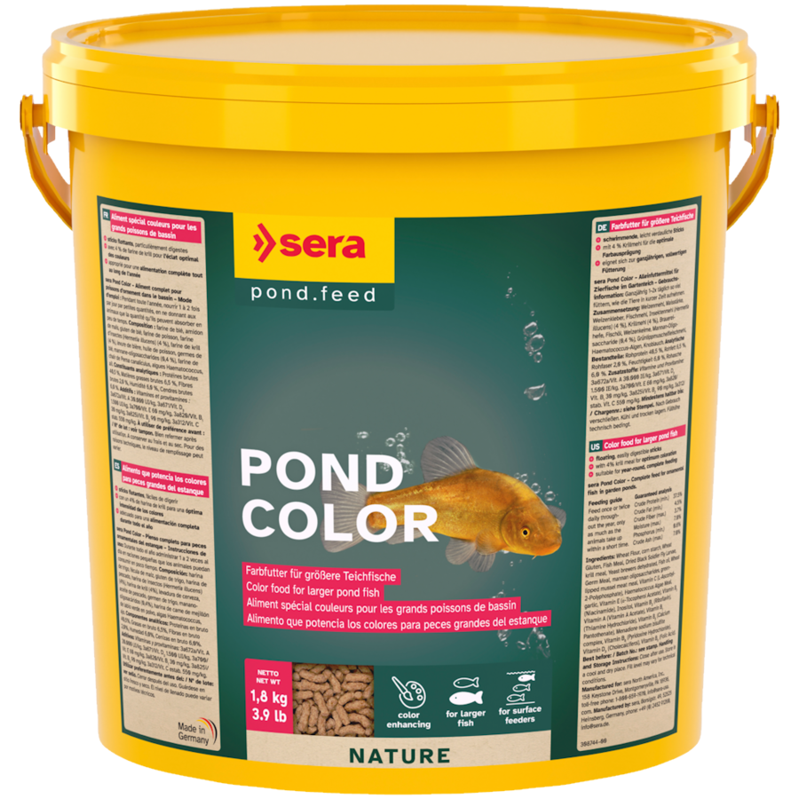 Pond Color
