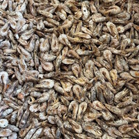 Gedroogde Noordzee garnaaltjes | natuurlijke eiwitrijke dierensnack
