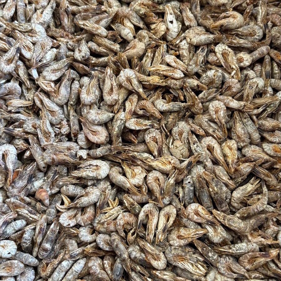 Gedroogde Noordzee garnaaltjes | natuurlijke eiwitrijke dierensnack