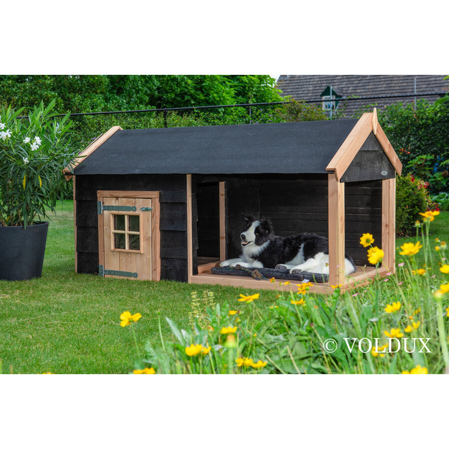 Hondenhok met veranda 201 x 113 x 110 cm | onderhoudsvrij buitenhok