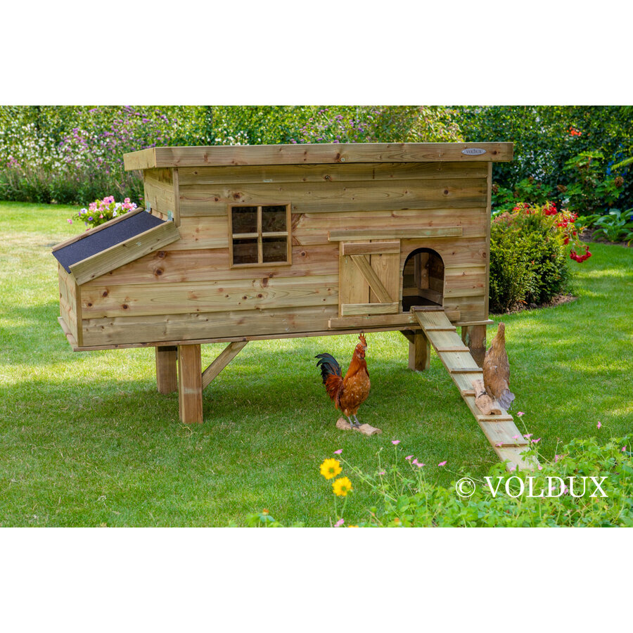 Kippenhok Finn 190x88x110 cm | verhoogd nachthok met legnest