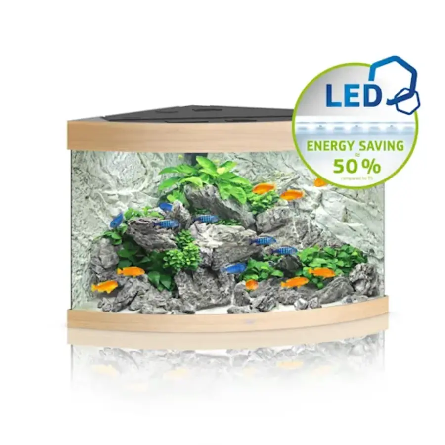 Trigon 190 LED + Meubel | 190L | 99 x 70 x 60CM Lichthout