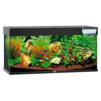 Rio 240 LED + Meubel | 240L | 121 x 41 x 51CM Zwart