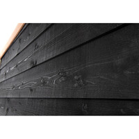 Hondenkennel met nachthok zwart | 316 x 208 x 196 cm | met deur