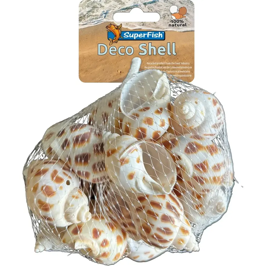 Deco schelp spiraal gestreept 200 gram | natuurlijke aquariumdecoratie voor zoet- en zoutwater