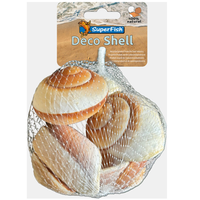 Deco Schelp Slak Bruin-Wit 200 Gram