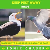 Pigeon Repeller WK0021